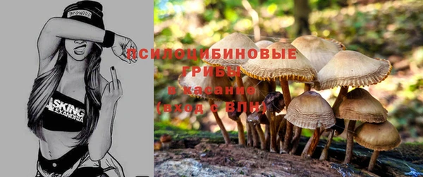амфетамин Липки