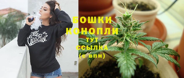 соль ск Лиски